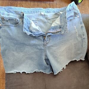 Seven7 Light Blue Jean Shorts for Women